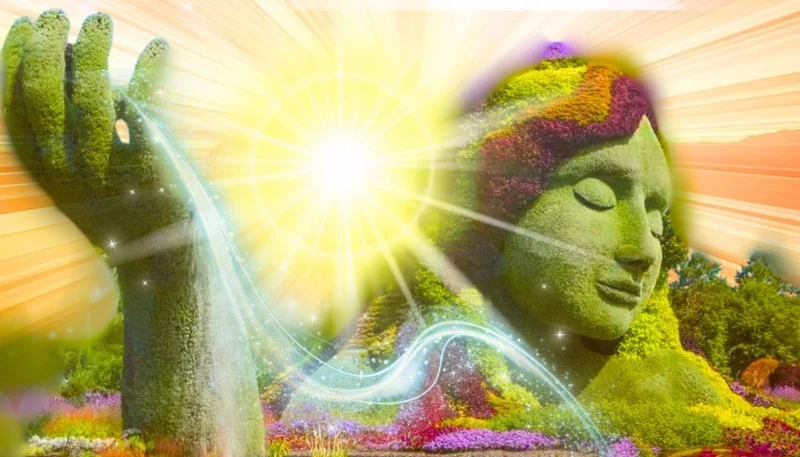 Meditation Experience